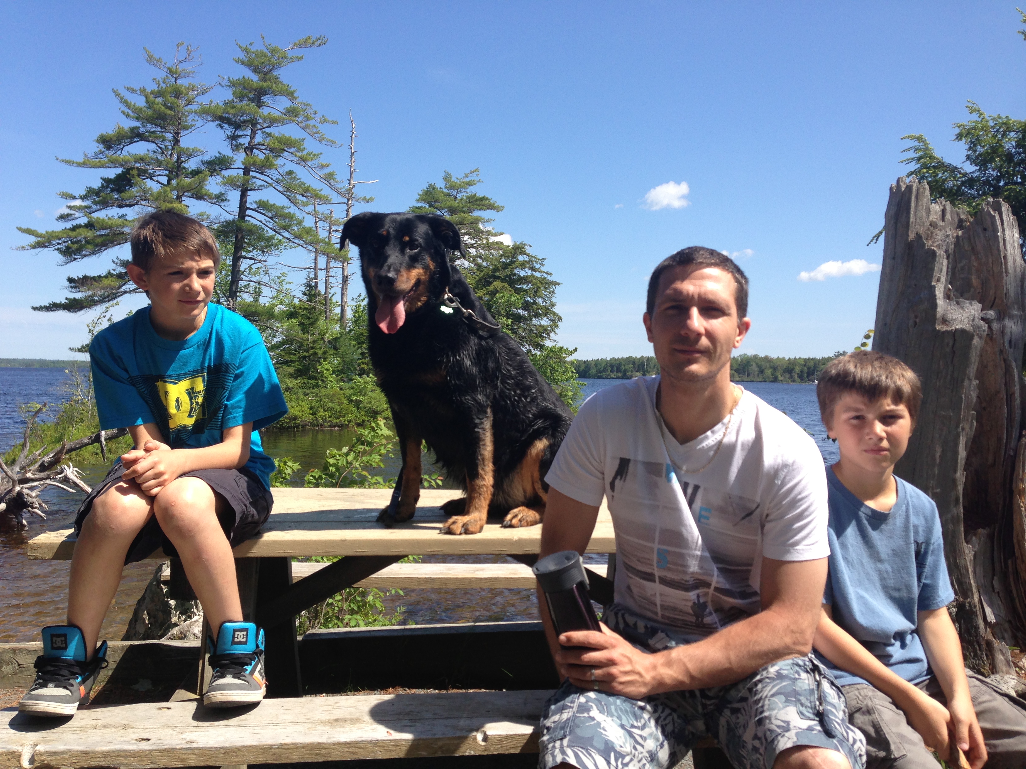 Eos, beauceron de la famille, lors d'une sortie géocaching au bord d'un lac